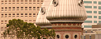 Business Community