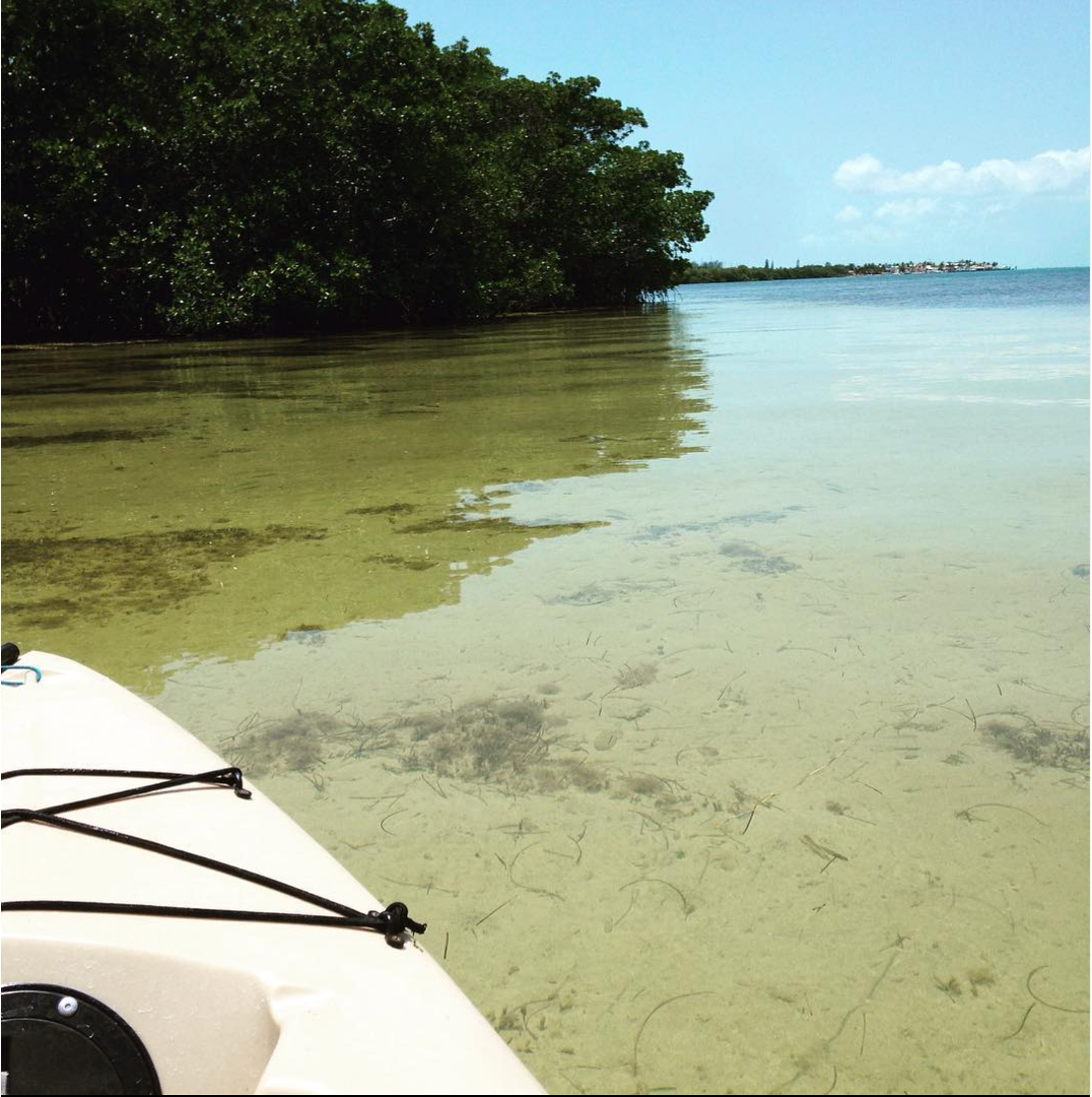 Kayaking to a sampling location in the Florida Keys
