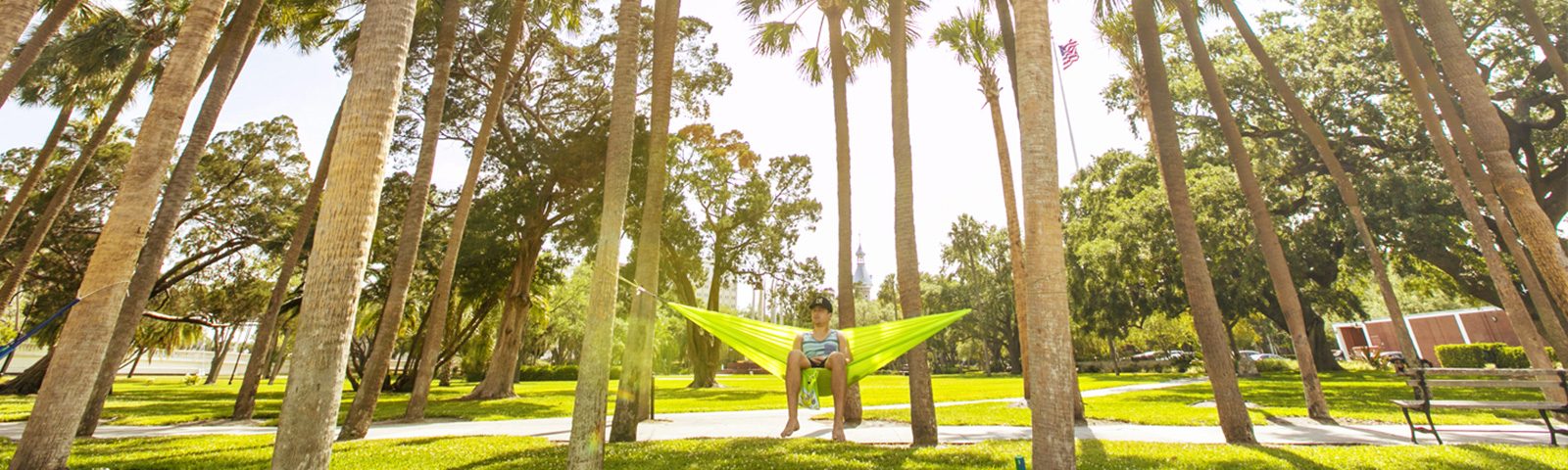 Student in a hammock in Plant Park under palm trees