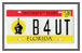 UT License Plate