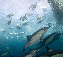 Tuason_LARGE