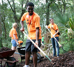 The PEACE Volunteer Center has been organizing the annual volunteering event for 13 years.