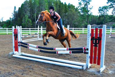 champ small