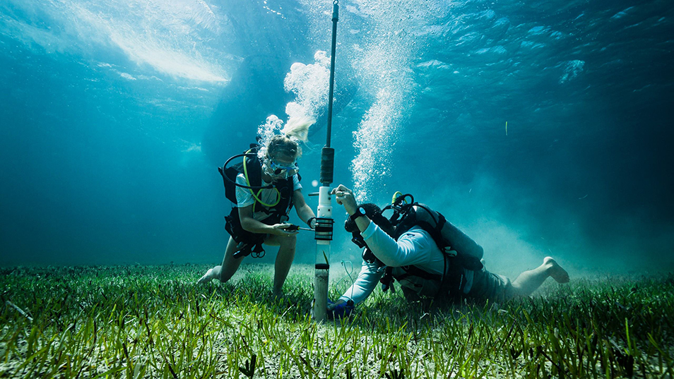 Two researchers underwater in the Bahamas