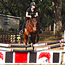 Equestrian1_THUMB