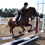 Equestrian_THUMB