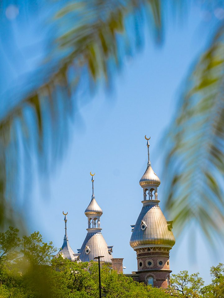 Minarets on Plant Hall