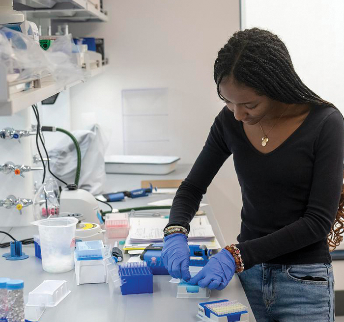 student working on lab student working on lab