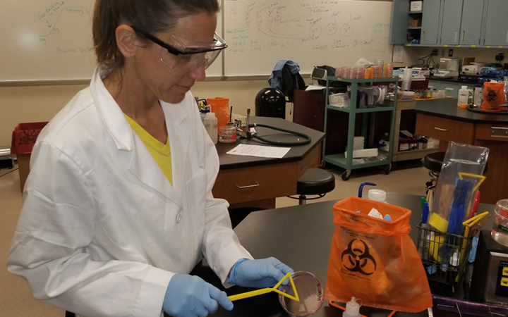 Student handling a petri dish