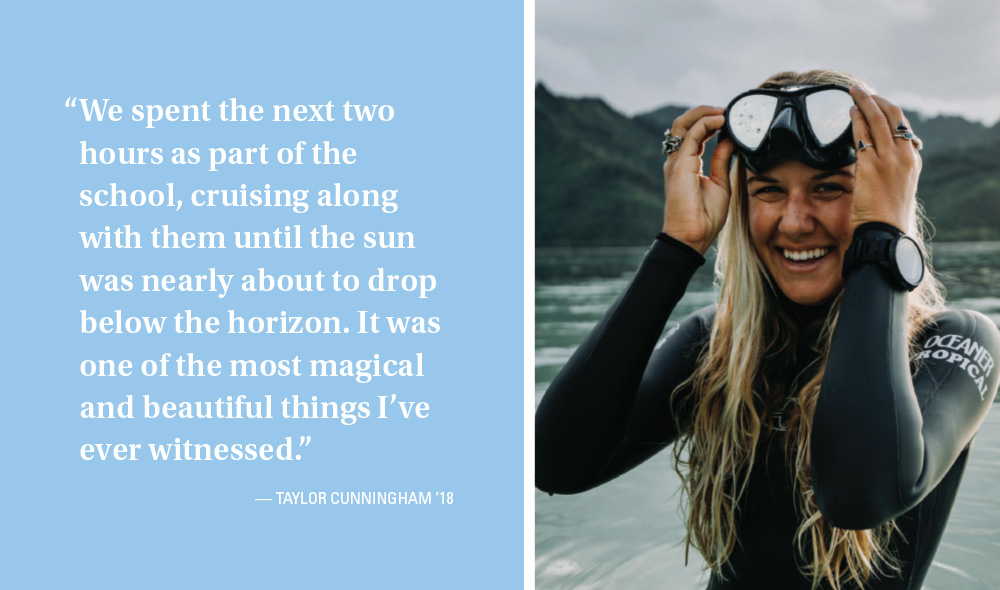 A photo of Taylor Cunningham in the ocean 