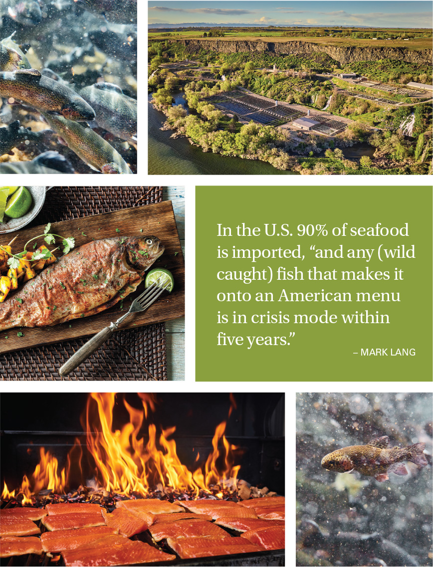 DIFFERENT IMAGES OF FISH 