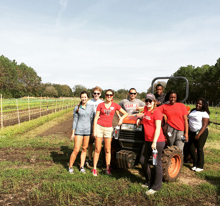 Students participating in community service 