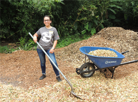 Student putting mulch in a wheelbarrel