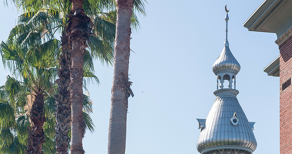 Minaret and palm trees Minaret and palm trees