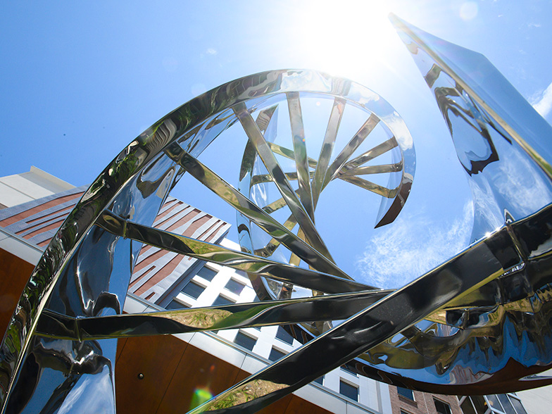 DNA sculpture