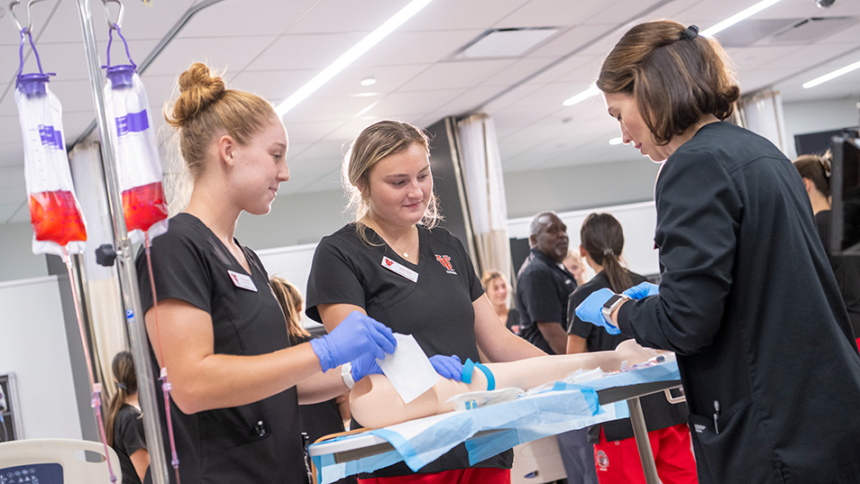 Students studying under a tree in Ghana.