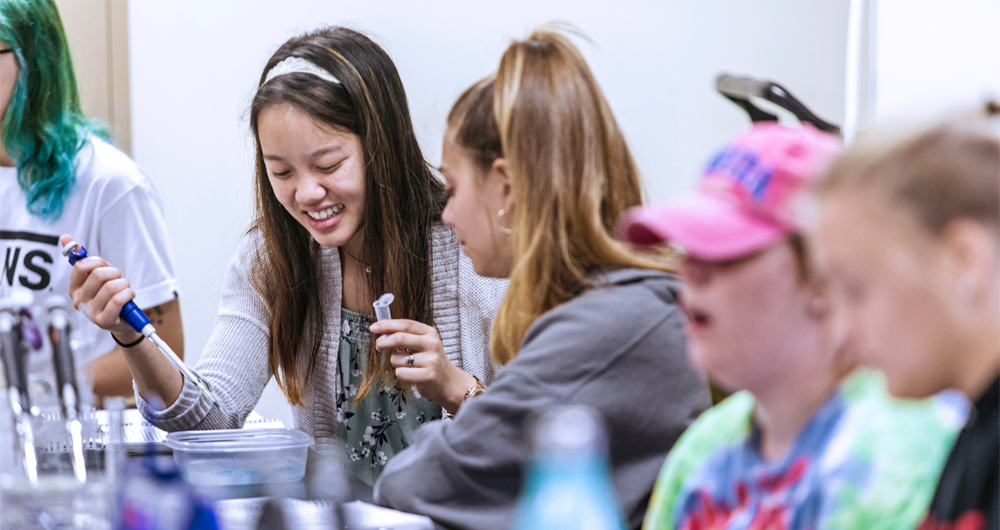 Students working in a chemistry lab