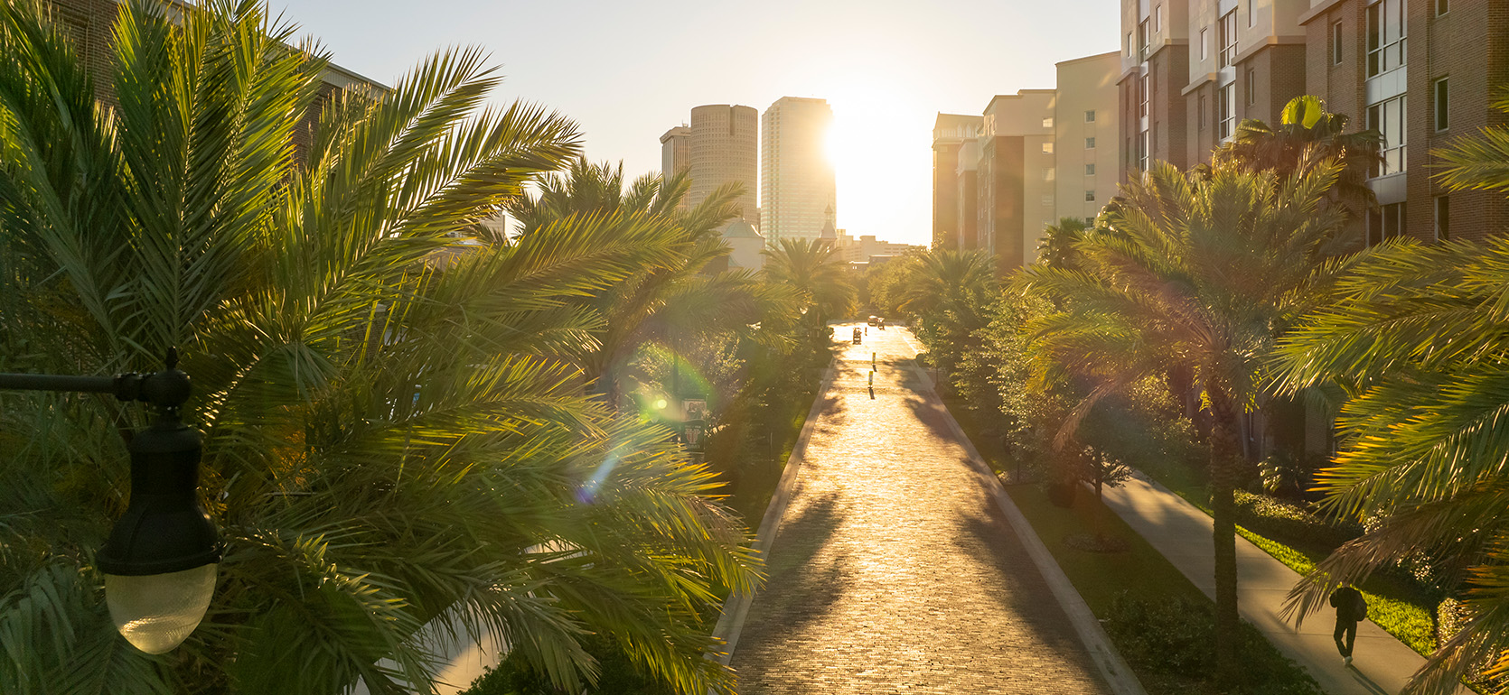 View of Tampa sunrise from campus