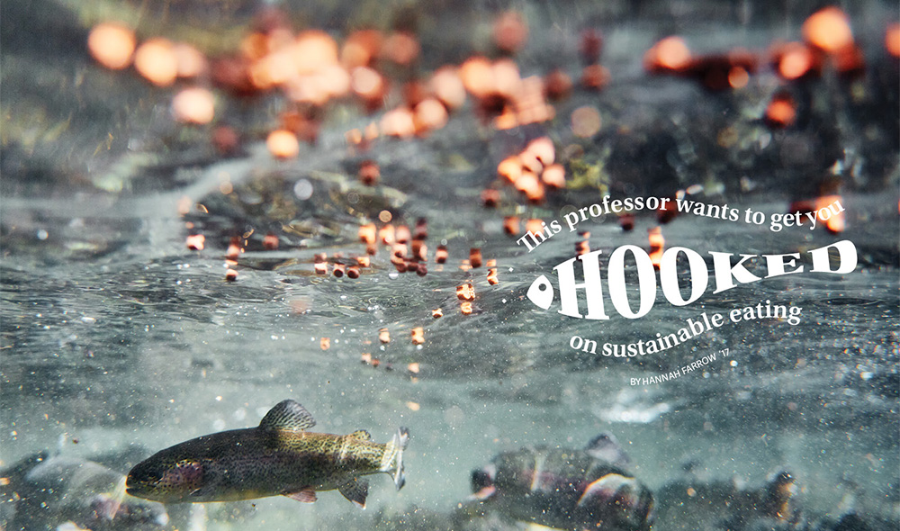  A PHOTO TAKEN of fish under water 