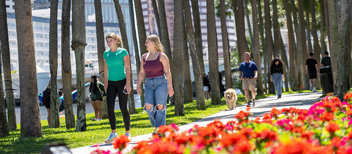 Students walking on campus