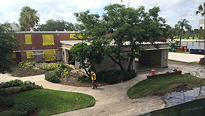 McKay under construction