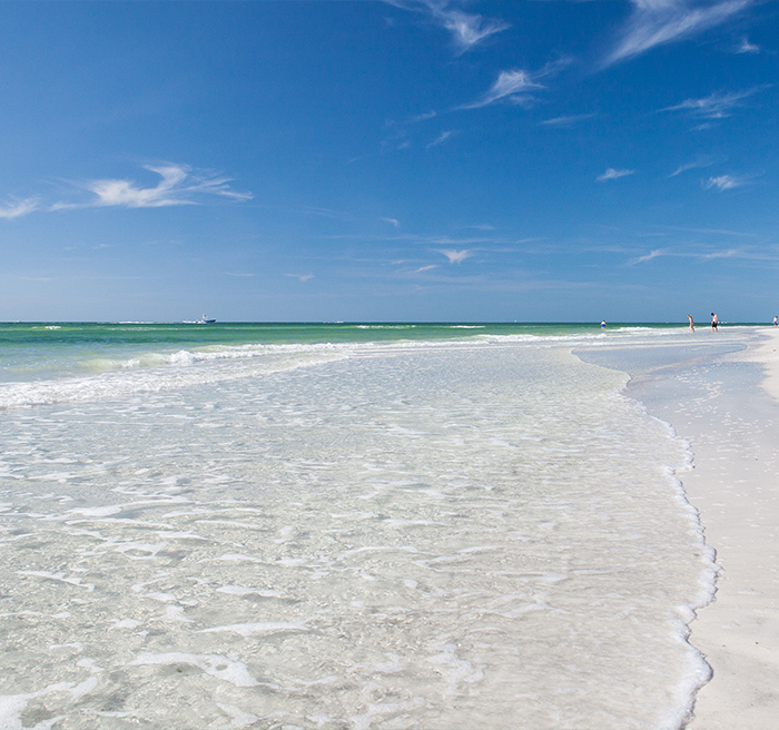 Tampa bay 