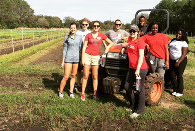Students participating in community service 