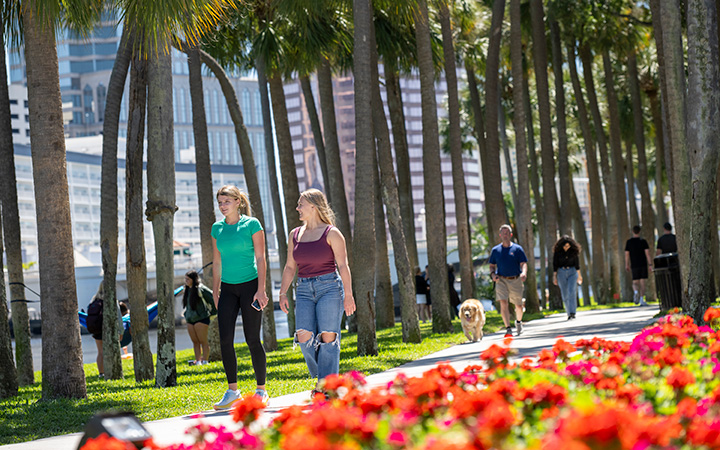 Ask the Spartan logo