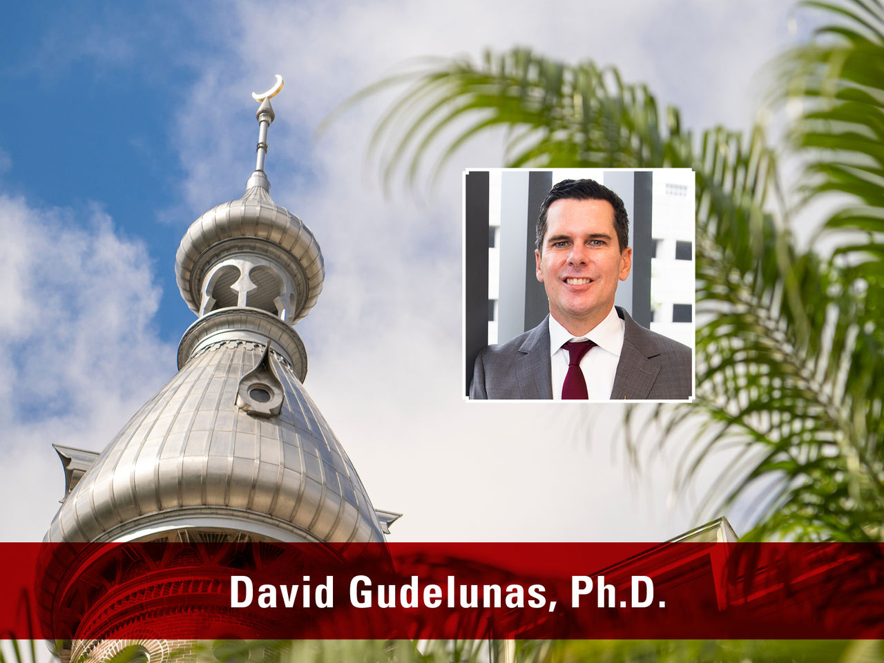 David Gudelunas