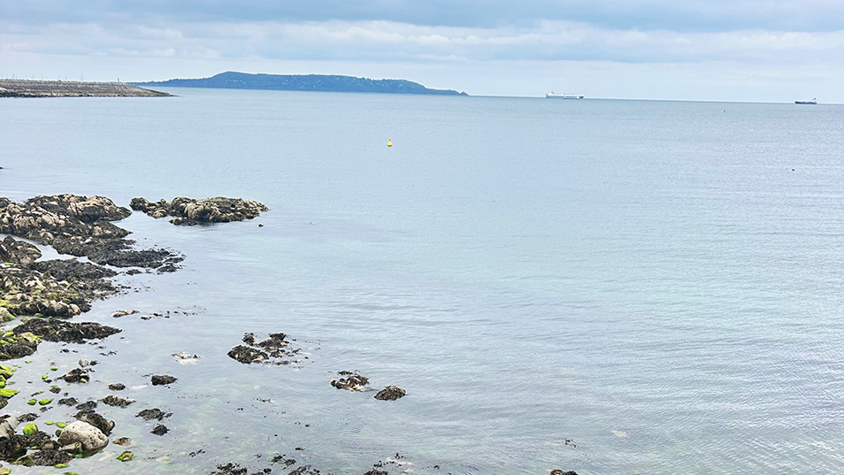 Timothy M. Smith Northern Ireland