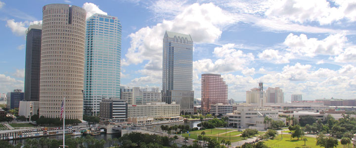 Downtown Tampa Skyline 