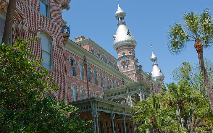 phd programs university of tampa