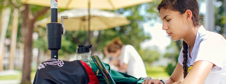 Students studying outside 