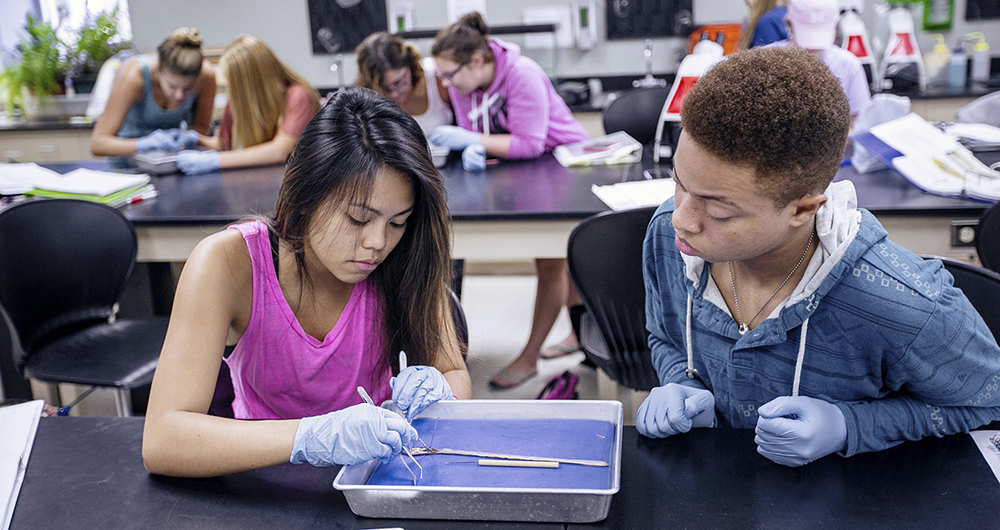 Students in a biology lab