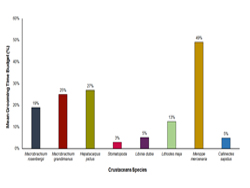 Grooming time budgets bar graph