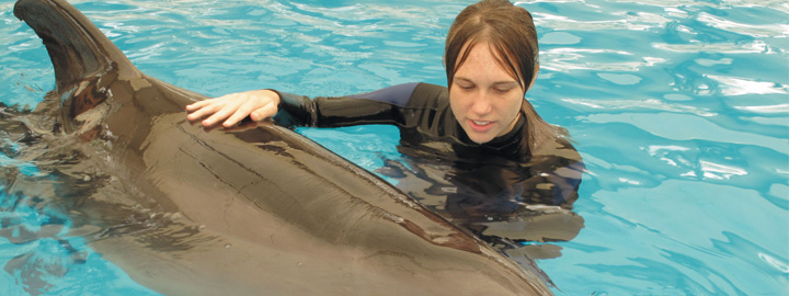 Student swimming with a dolphin