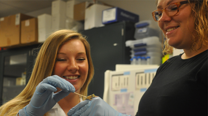 Nichole Laggan and Taegan McMahon examining a frog