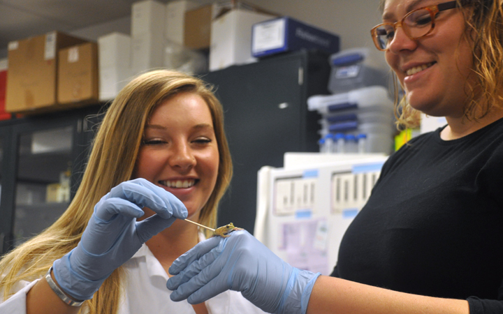 Students in a lab holding a frog