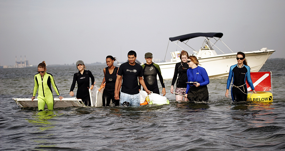 Students walking in the bay from a boat to the shore