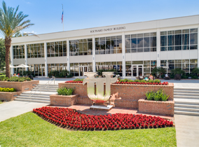 UT Statue