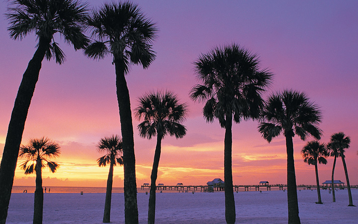 The University Of Tampa Orientation Beach Trip Ut New Student Day At Clearwater Beach