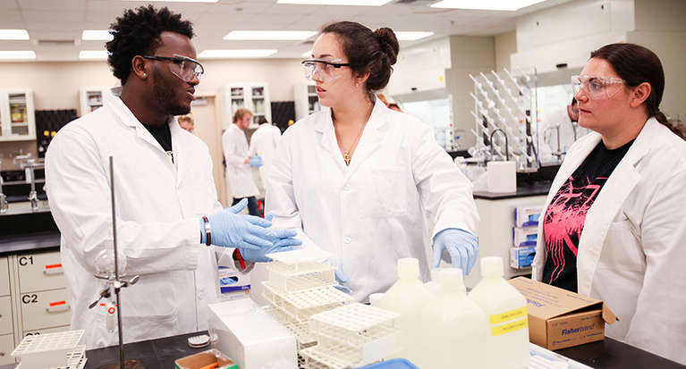 Students in a chemistry lab