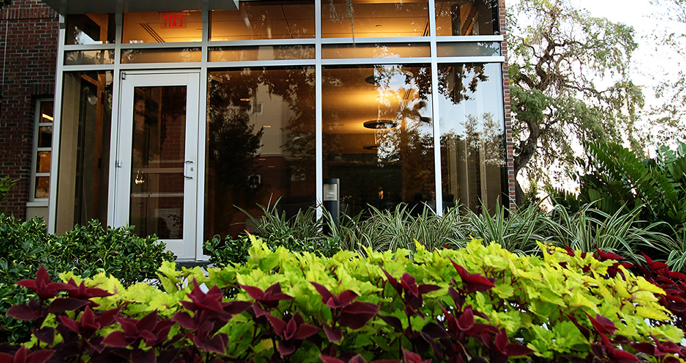 Plants outside of the Health Center