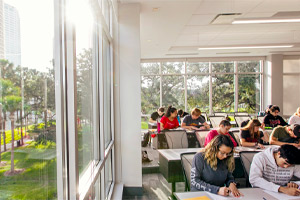 students studying in ICB 