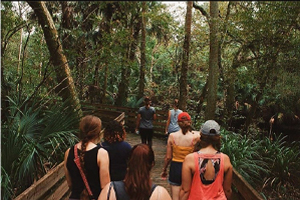 Students walking in nature 