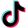 TikTok Icon