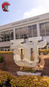 uploadedImages/University_Services/Public_Information/Downloads/SFB-iPhone-1242x2208-spartanHead-thumb.jpg SFB 1242x2208