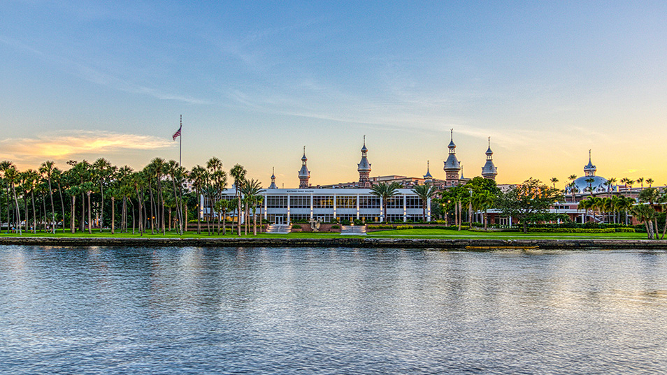 Home University of Tampa