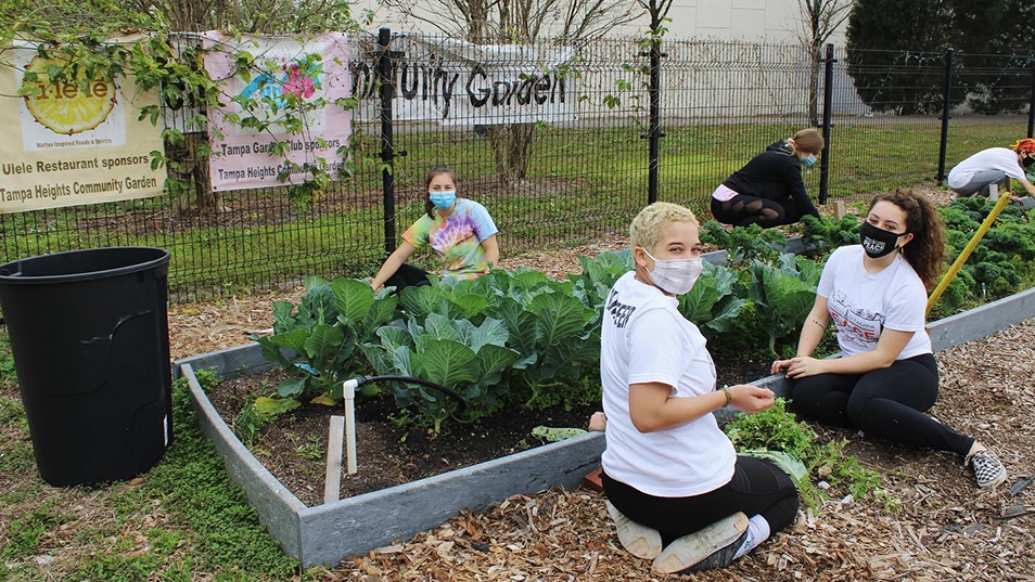 Students volunteering at a community garden.