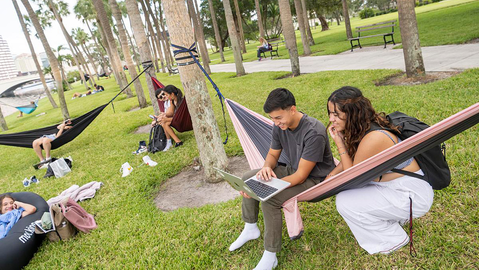 students studying in hammocks